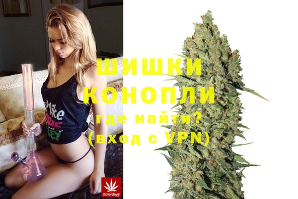ALPHA PVP Няндома