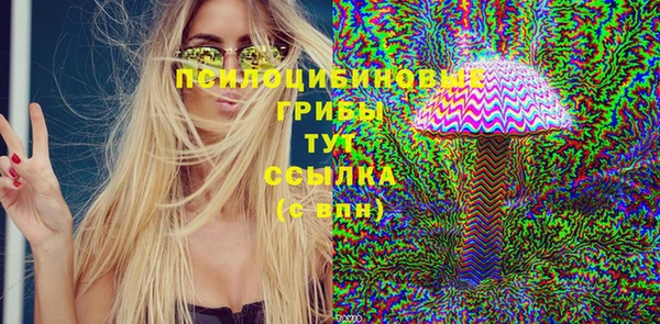 ECSTASY Нязепетровск