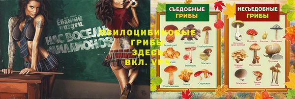 ALPHA PVP Няндома