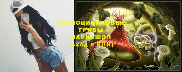 меф Новодвинск