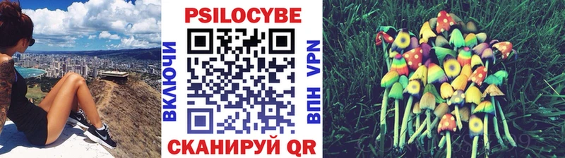 маркетплейс Telegram  Лермонтов  Галлюциногенные грибы Magic Shrooms  купить наркоту 